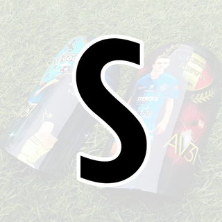 Shinguard S